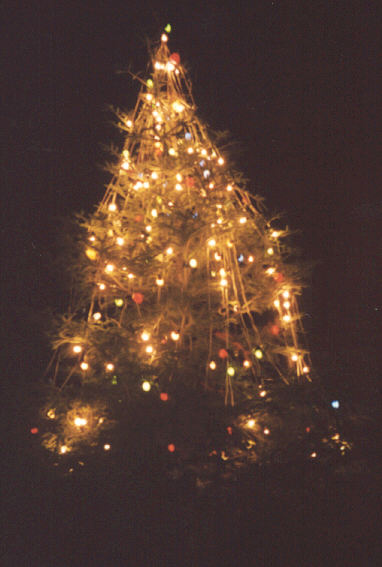 arbol navidad fres.jpg (38603 bytes)