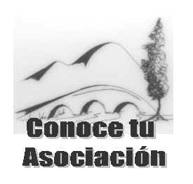 Conoce tu Asociaci�n