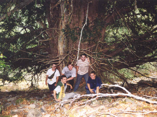 Vista detallada de El Tejo