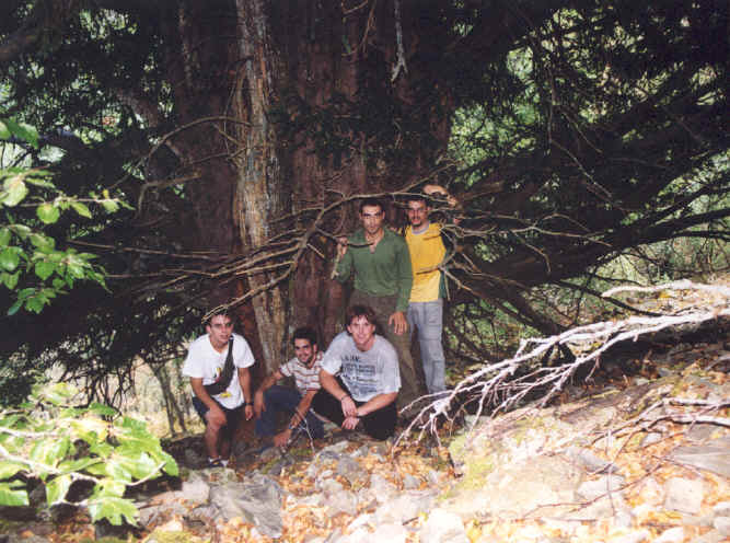 Otro detalle de El Tejo